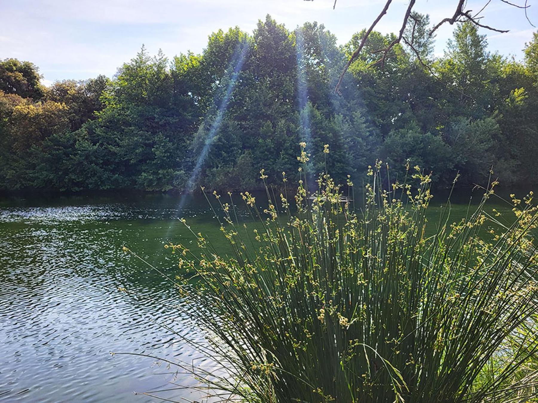 Camping Le Val De Cesse Mirepeisset Bagian luar foto