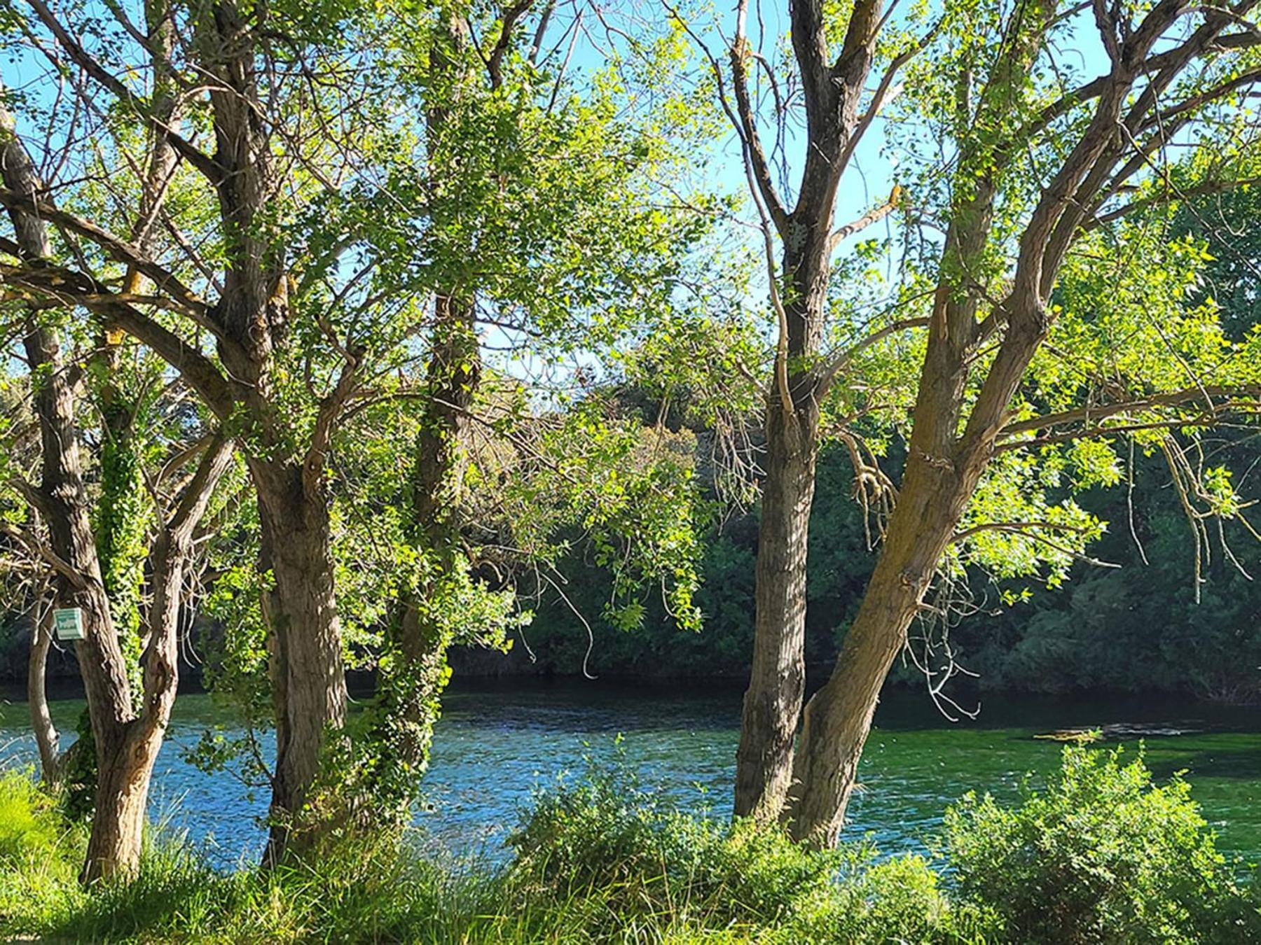 Camping Le Val De Cesse Mirepeisset Bagian luar foto